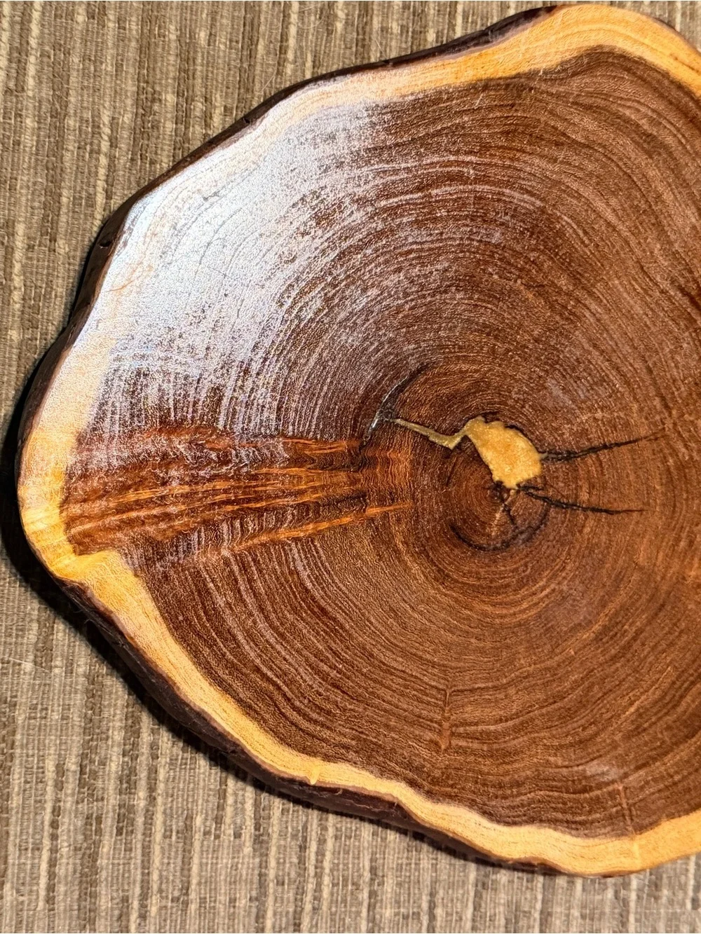 Rustic Live Edge‎ Wood Slice Centerpiece Tray Natural Tree Slab Decor 10”